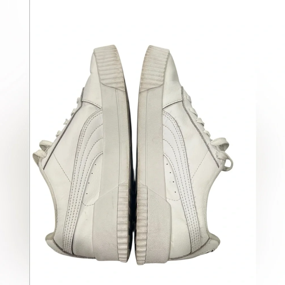 Puma carina street